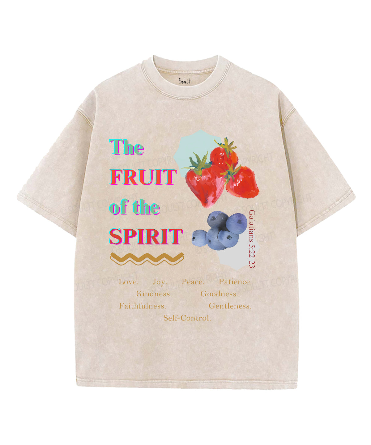 The Fruit Of The Spirit Unisex Washed Christian T-shirt Style002