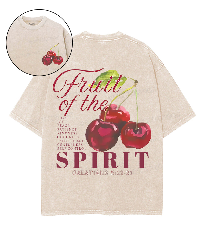 Fruit Of The Spirit Double Sided Unisex Washed Christian T-shirt Style028