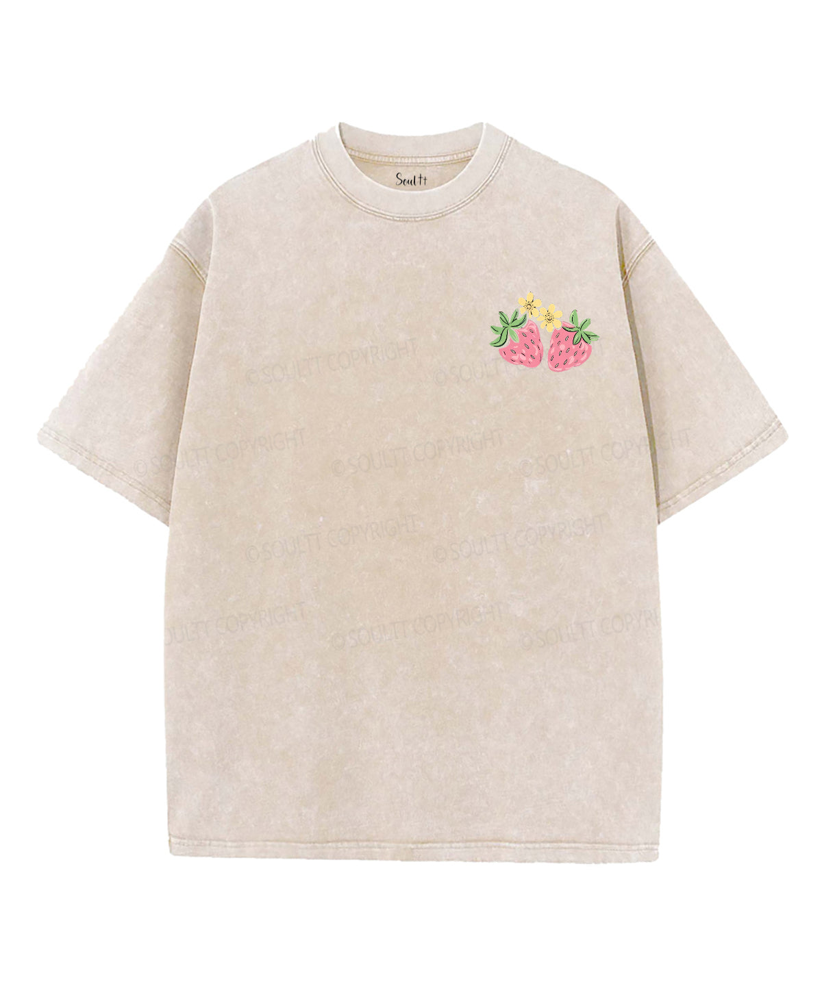 Fruit Of The Spirit Double Sided Unisex Washed Christian T-shirt Style029