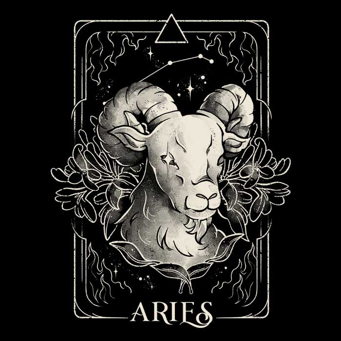 Aries (Edu.Ely) - Long Sleeve T-Shirt