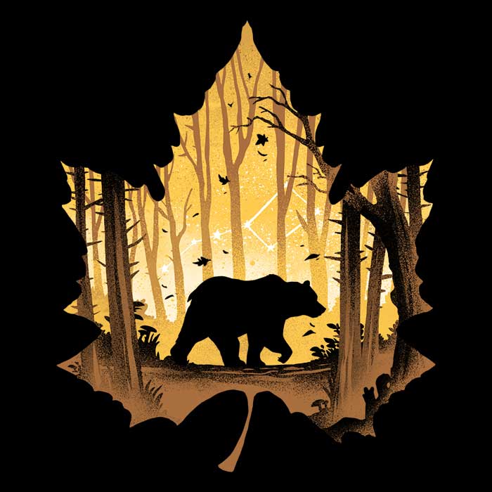 Bear Protector - Youth Apparel