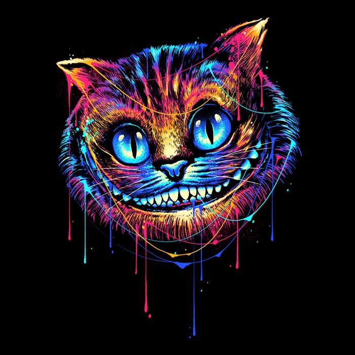 Colorful Cat - Men's Apparel