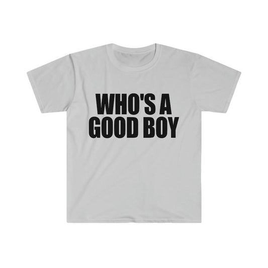 Funny Y2K Meme TShirt, WHO'S a GOOD Boy 2000's Style Sassy Tee, Gift  T-shirt, sweater and Hoodie Cotton