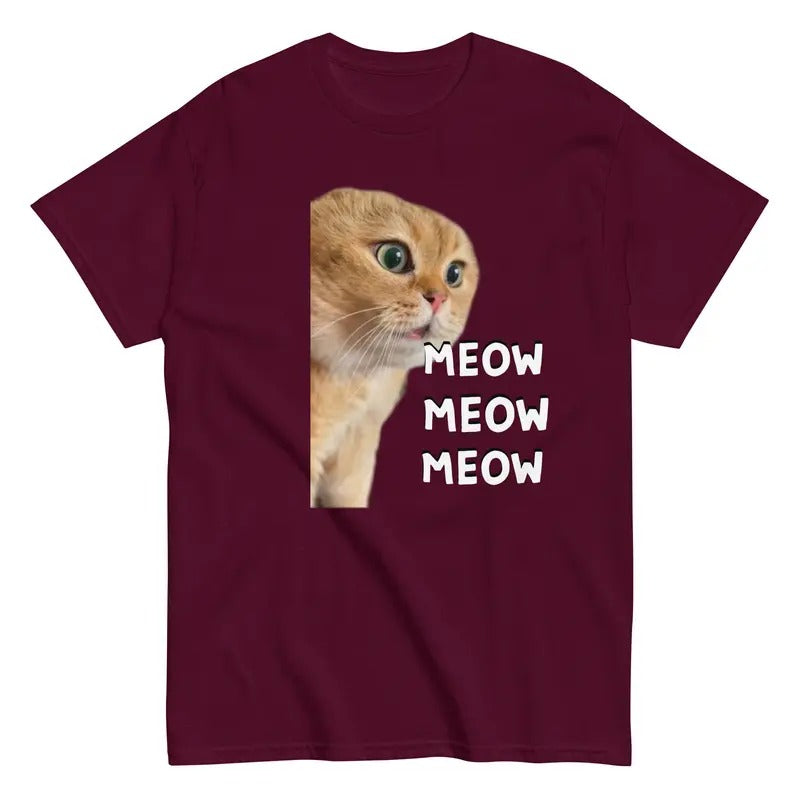 Talking Meme Cat Viral Video Funny Cat sweater and hoodie