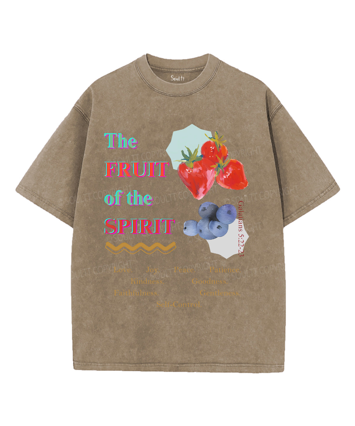 The Fruit Of The Spirit Unisex Washed Christian T-shirt Style002