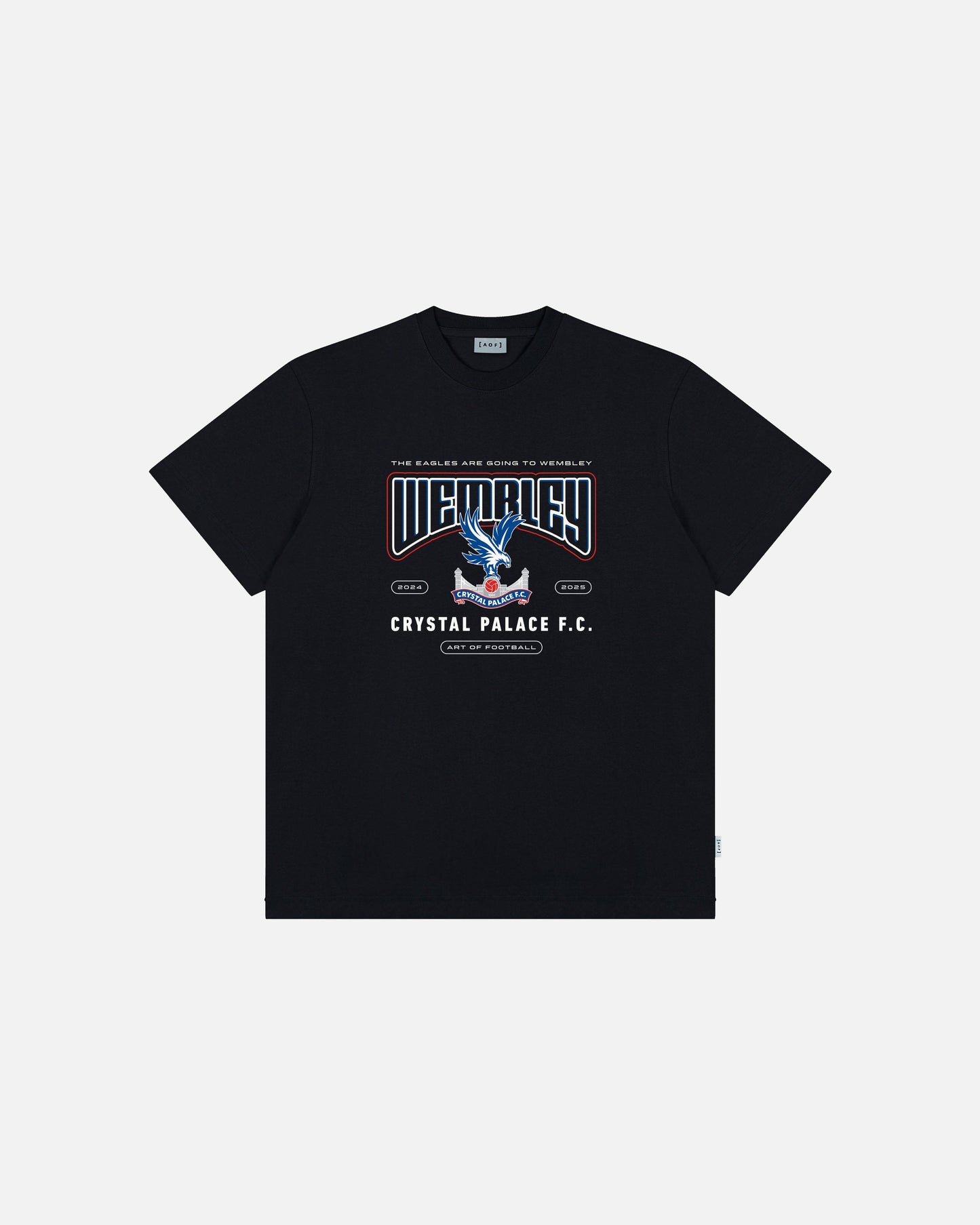CPFC Palace Cup Finalist 2025 Tee