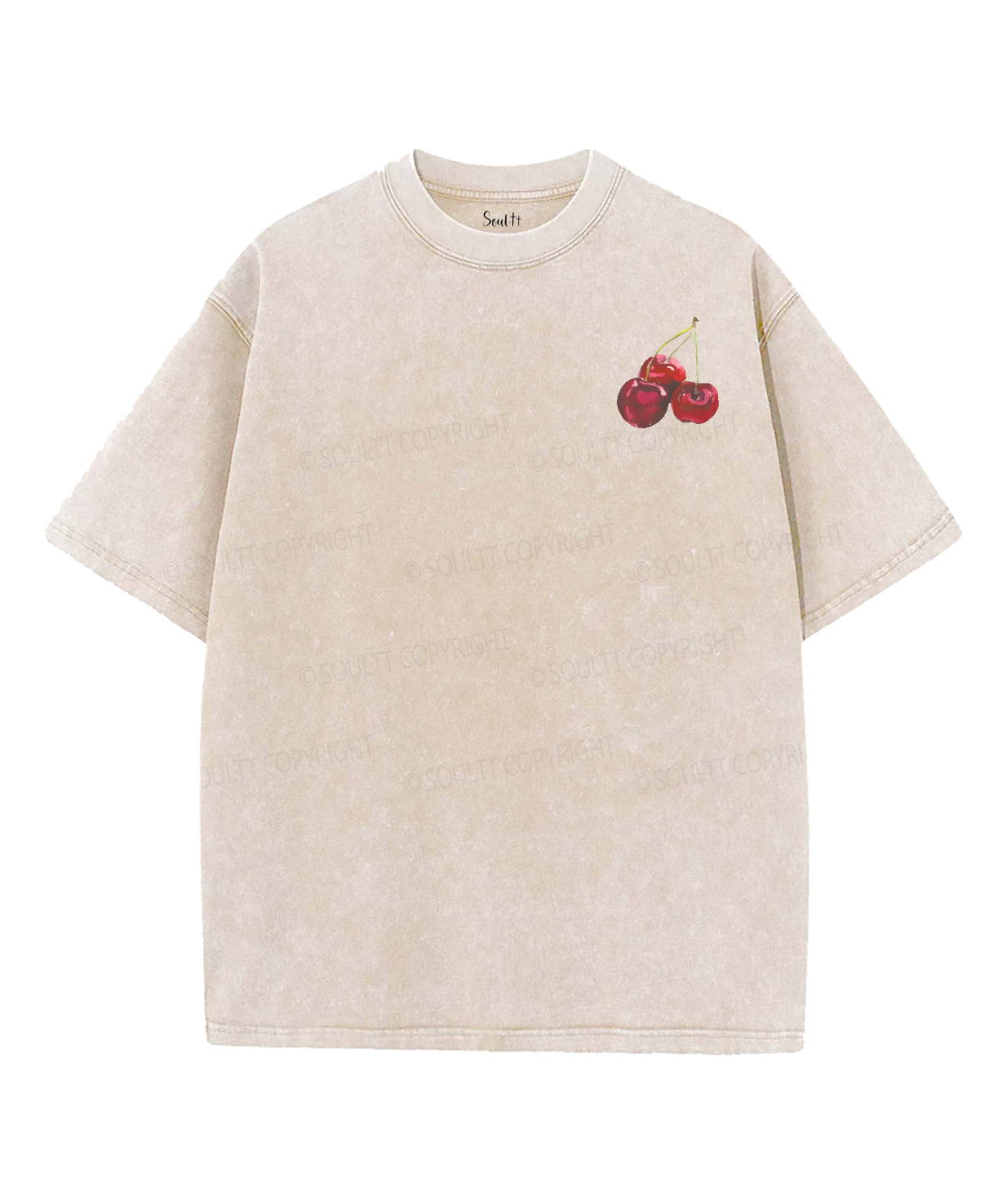 Fruit Of The Spirit Double Sided Unisex Washed Christian T-shirt Style028