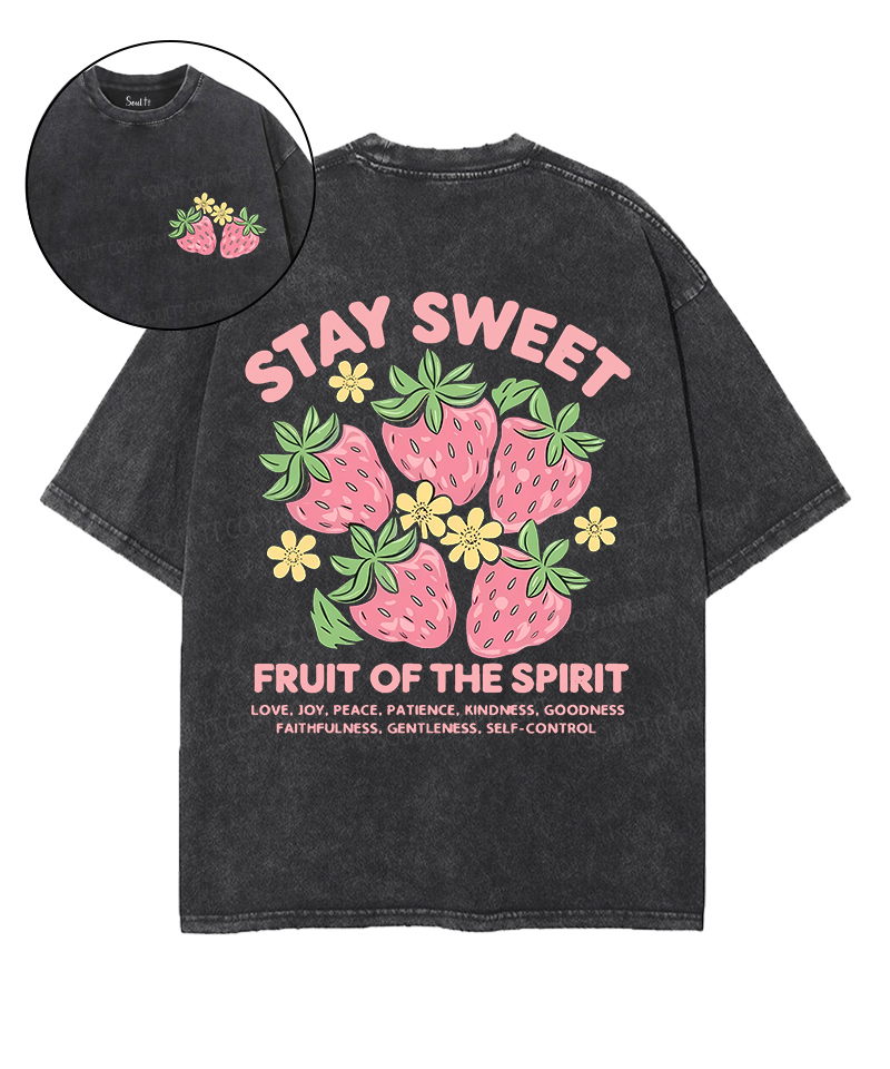 Fruit Of The Spirit Double Sided Unisex Washed Christian T-shirt Style029
