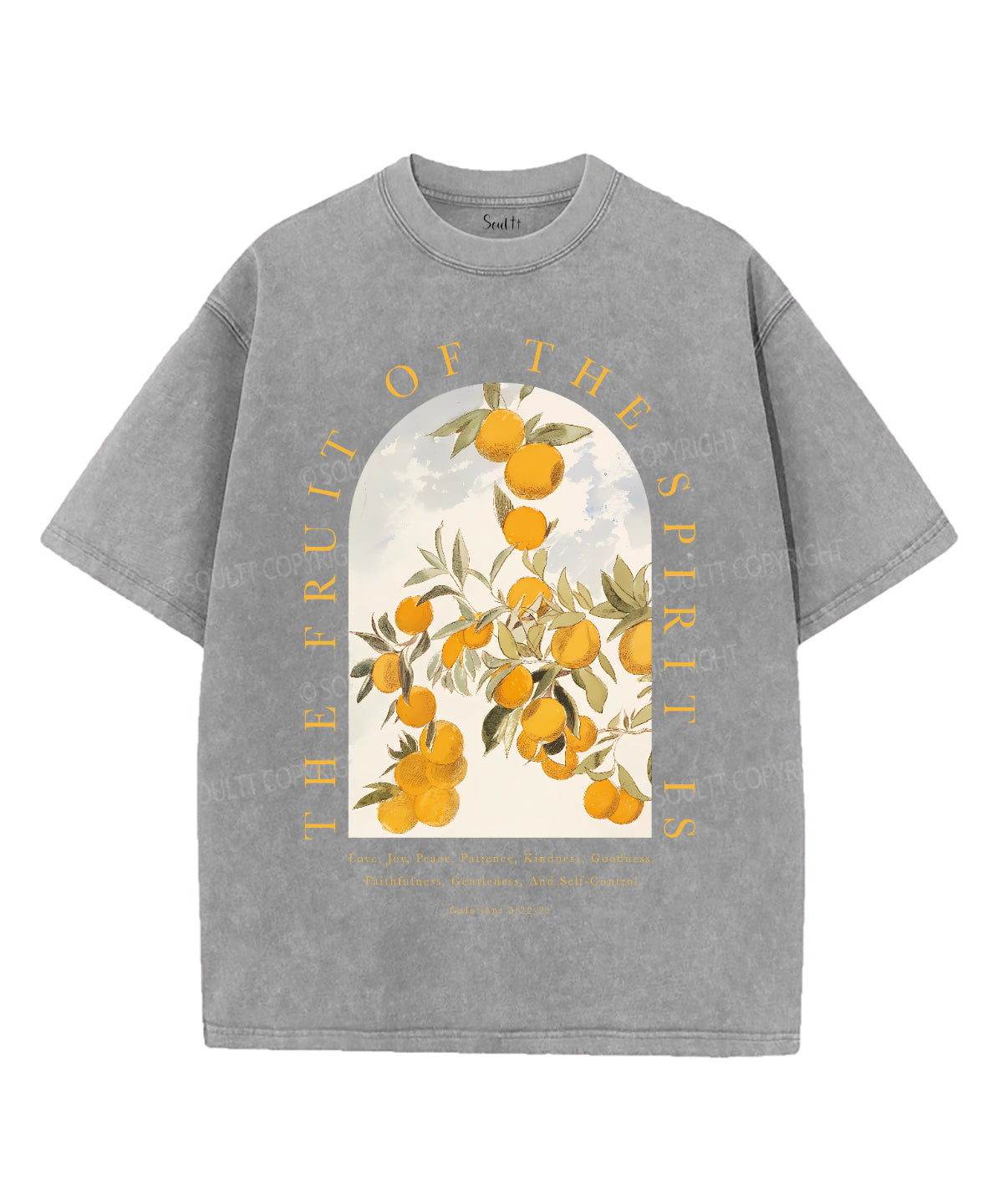 The Fruit Of The Spirit Unisex Washed Christian T-shirt Style001