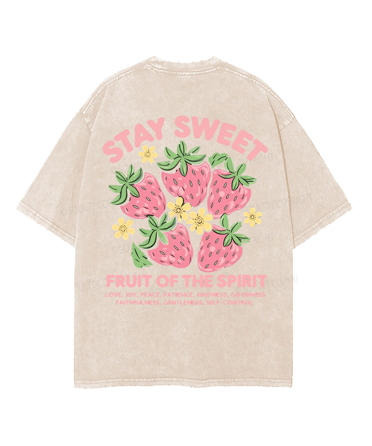 Fruit Of The Spirit Double Sided Unisex Washed Christian T-shirt Style029
