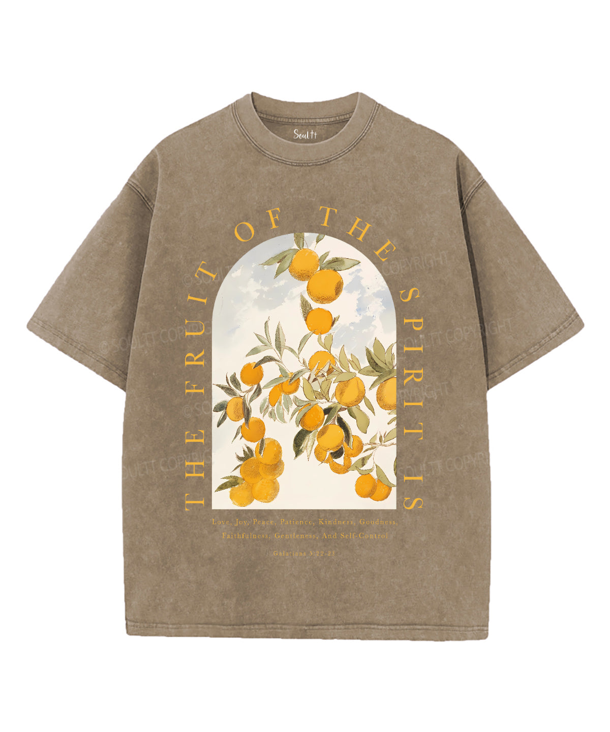 The Fruit Of The Spirit Unisex Washed Christian T-shirt Style001