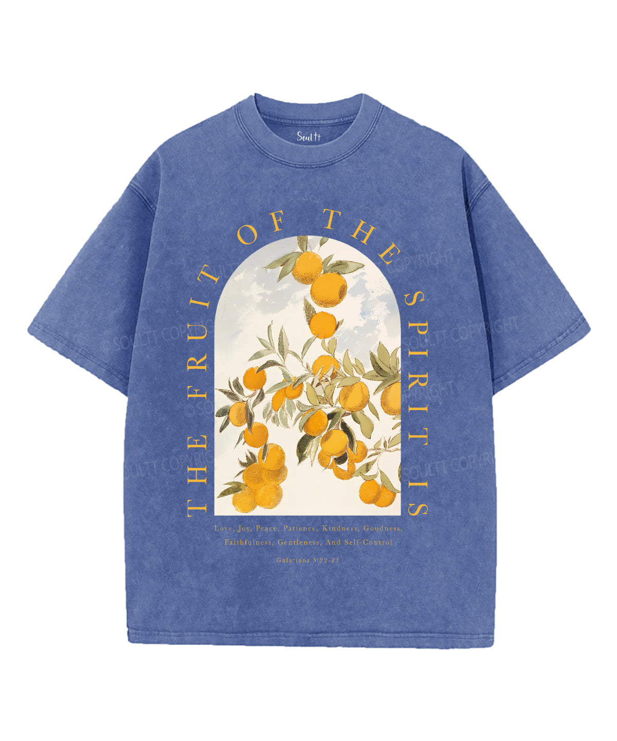 The Fruit Of The Spirit Unisex Washed Christian T-shirt Style001