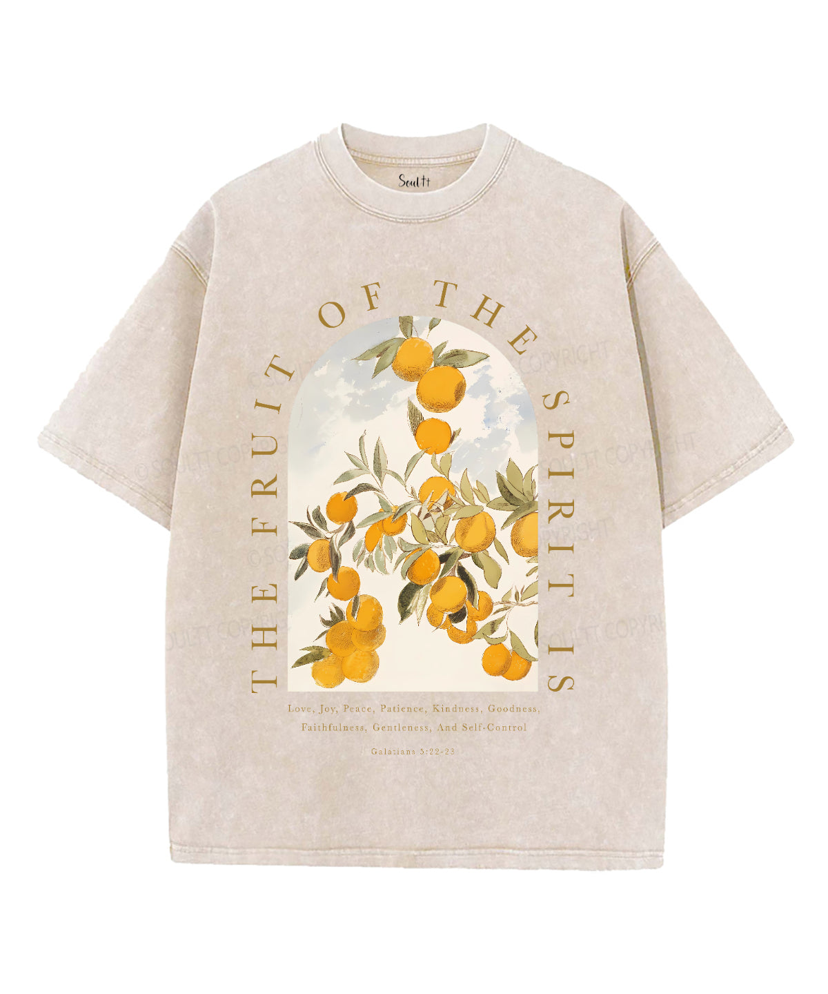 The Fruit Of The Spirit Unisex Washed Christian T-shirt Style001