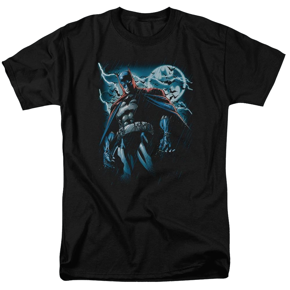 Batman Stormy Knight - Men's Regular Fit T-Shirt