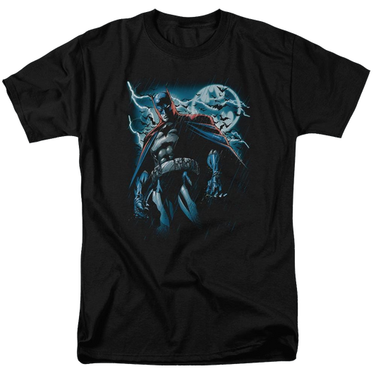 Batman Stormy Knight - Men's Regular Fit T-Shirt