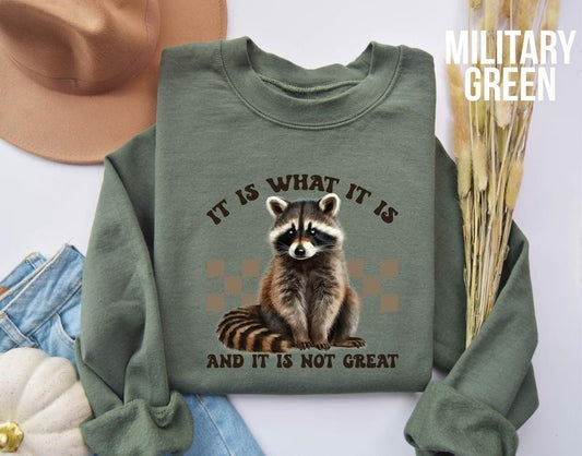 It Is What It Is and It Is not Great Sweatshirt, Racoon Meme Sweatshirt, Funny Racoon Sweater, Funny Trash Panda  T-shirt, sweater and Hoodie