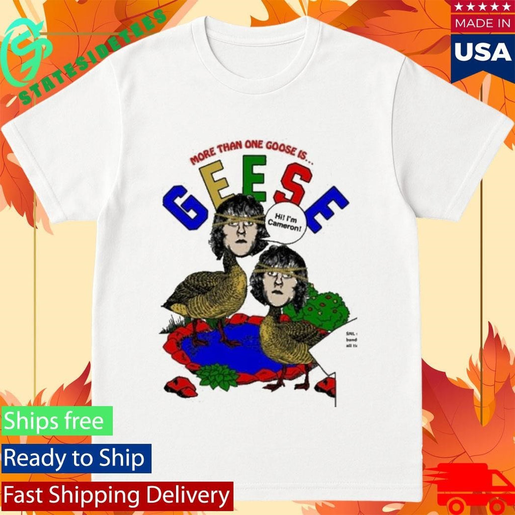More Than One Goose Is Geese Hi I’m Cameron Shirt