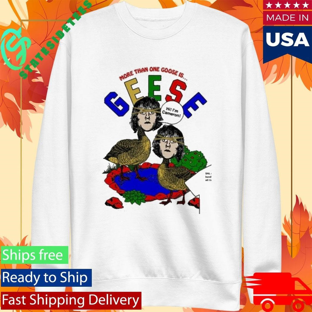 More Than One Goose Is Geese Hi I’m Cameron Shirt