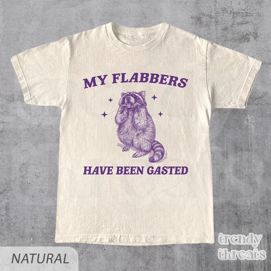 My Flabbers Have Been Gasted Shirt, Funny Raccoon Meme, Funny Trash Panda, Funny Sarcastic Snarky, Adult Humor Funny Quotes, Raccoon Shirt