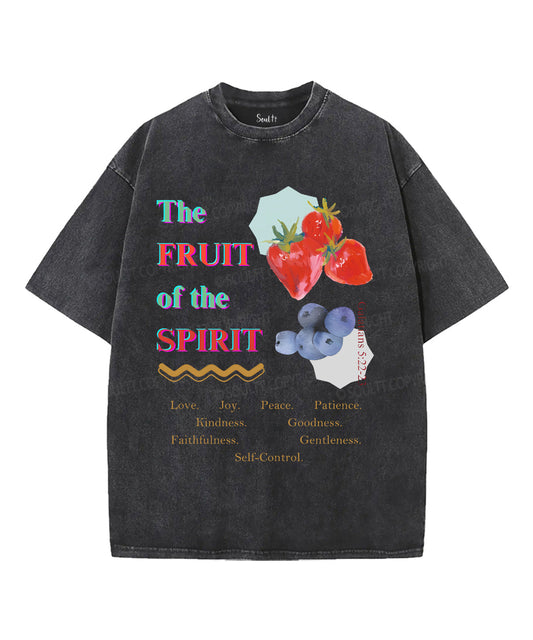 The Fruit Of The Spirit Unisex Washed Christian T-shirt Style002