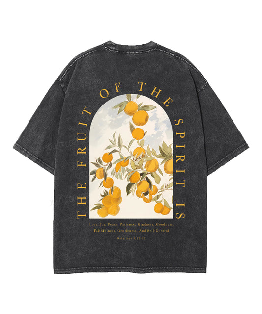 The Fruit of the Spirit Unisex Washed Christian T-shirt