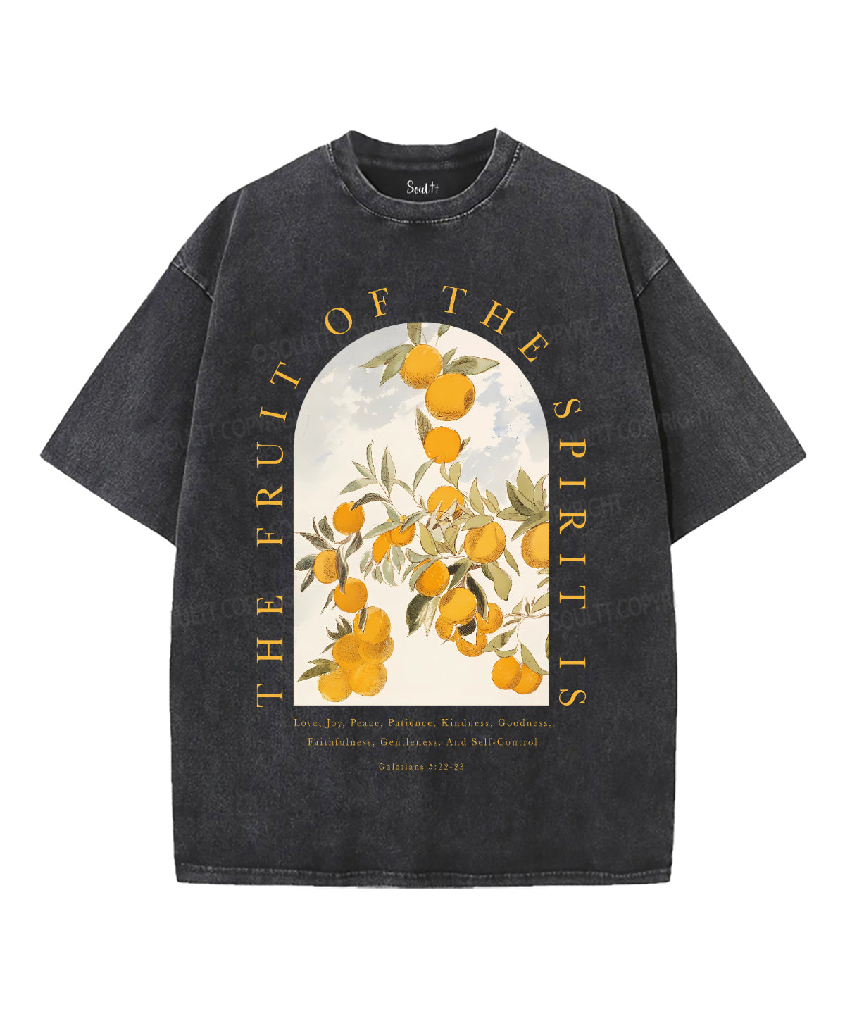 The Fruit Of The Spirit Unisex Washed Christian T-shirt Style001