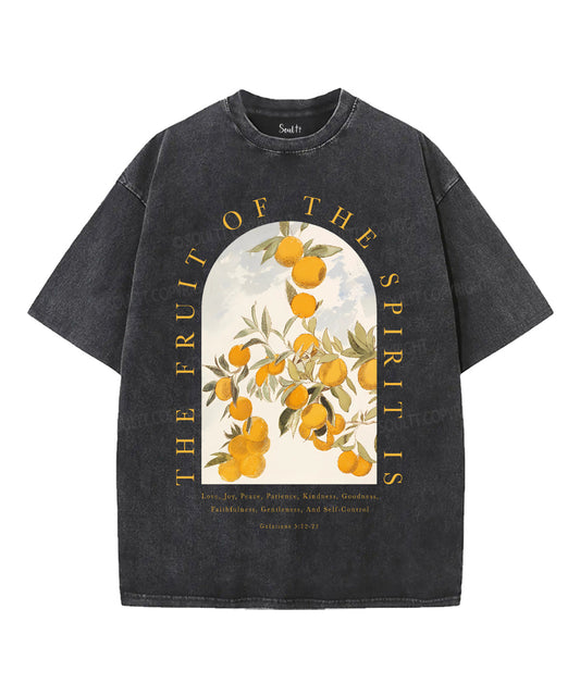 The Fruit Of The Spirit Unisex Washed Christian T-shirt Style001