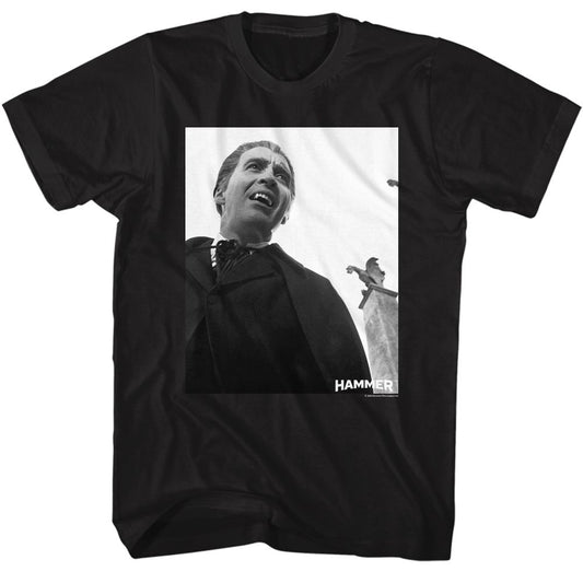 Hammer Horror - Dracula Screenshot Boyfriend Tee