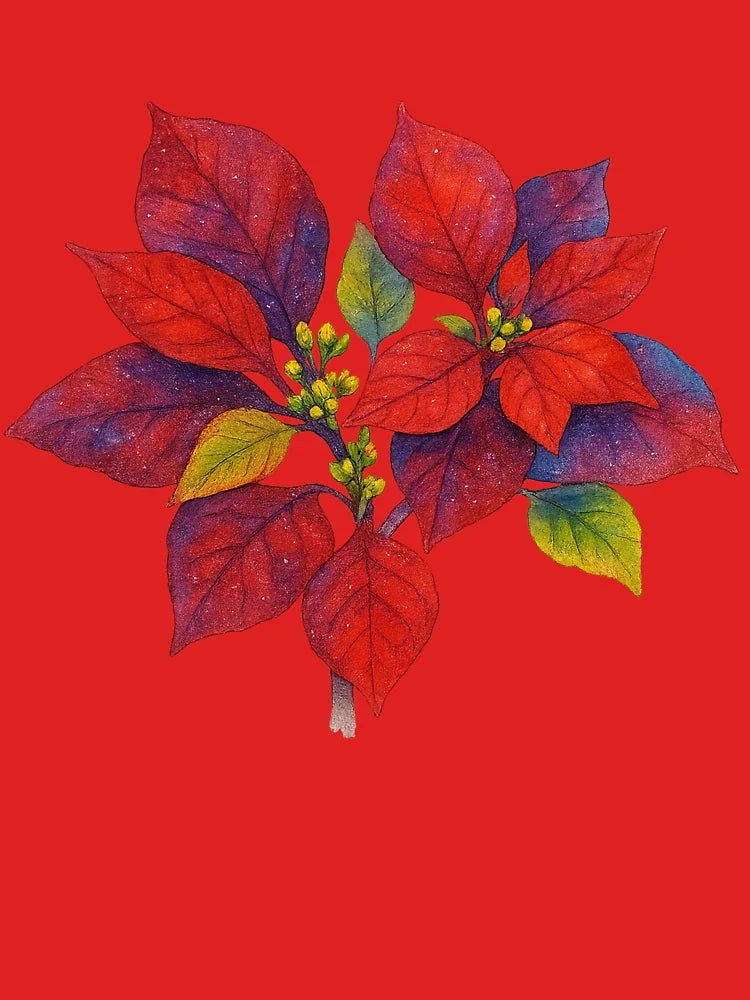 "The Fire Bloom – Energy of Rebirth" Classic T-Shirt Hoodie, Sweatshirt | VibeTeeNation.com (Image 3)