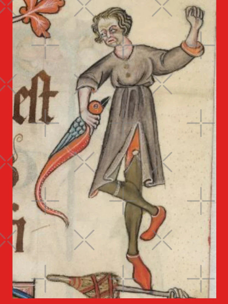 "And I grabbed the bird", medieval painting 9th century AD Classic T-Shirt Hoodie, Sweatshirt | VibeTeeNation.com (Image 3)