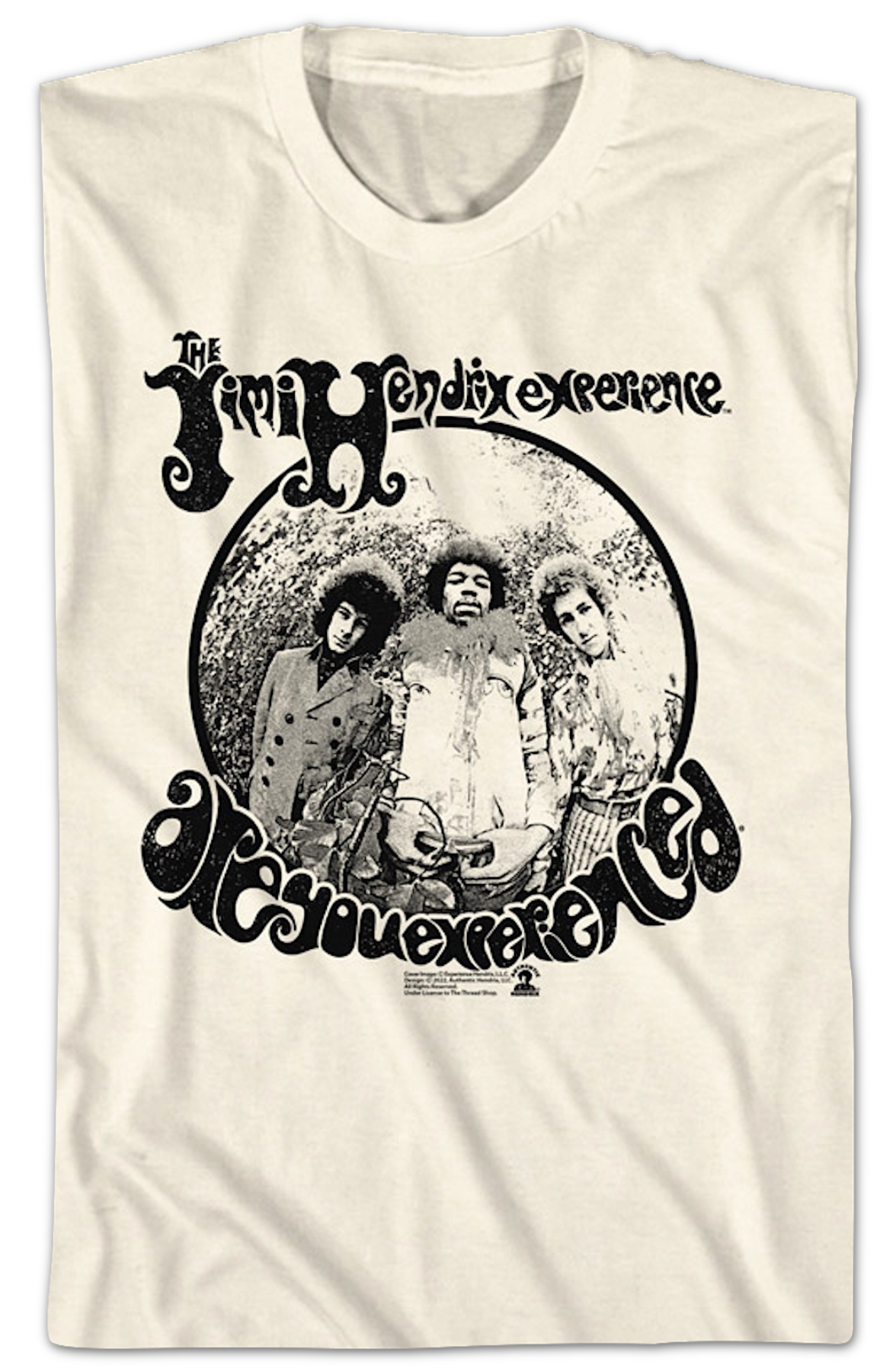 Vintage Are You Experienced Jimi Hendrix T-Shirt