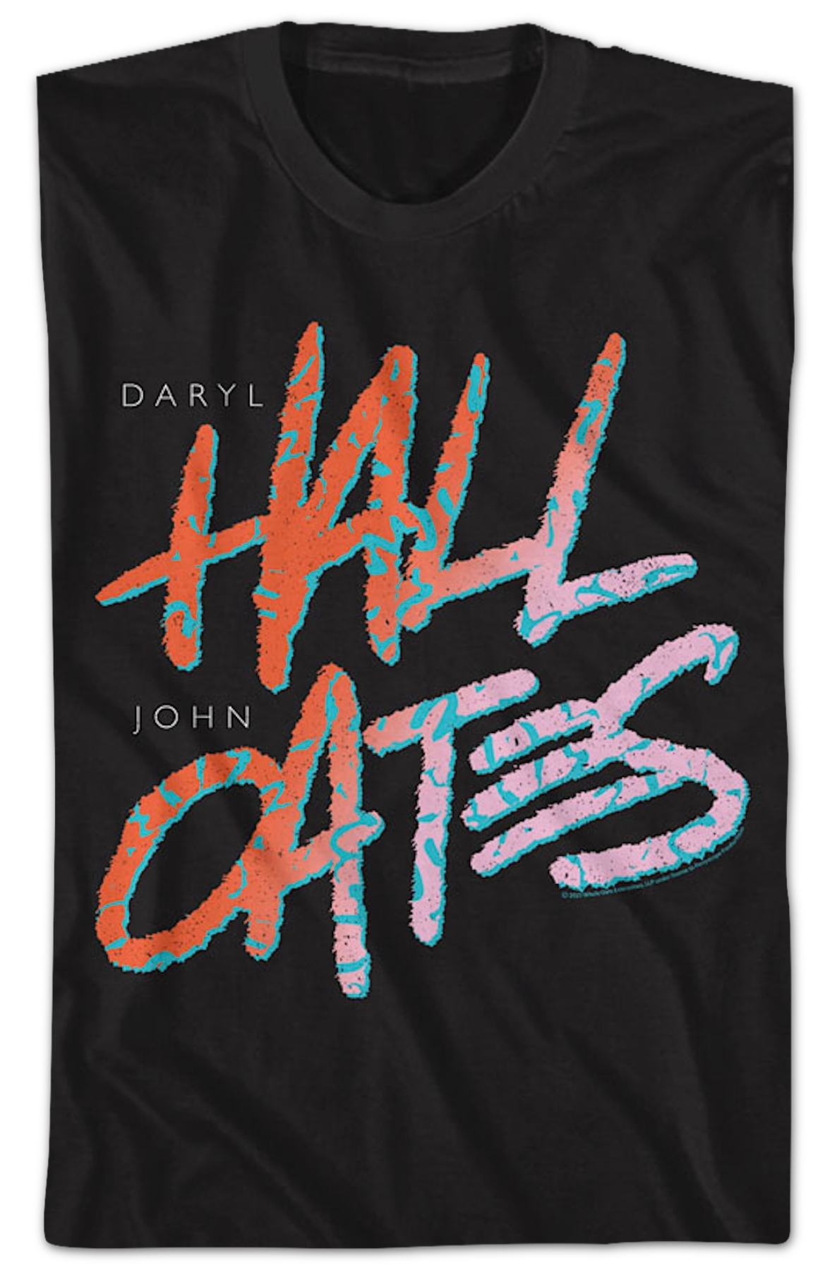 Vintage Names Hall & Oates T-Shirt